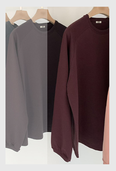 B06.冬日好搭拉克蘭素面長袖TEE