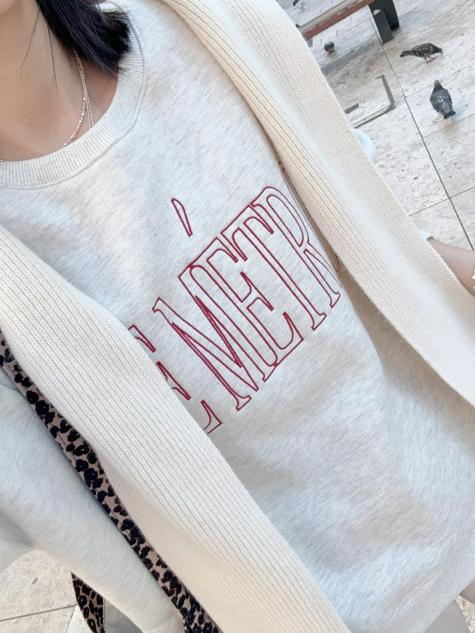 漂亮歐膩刷毛刺繡LEMETRO大學TEE