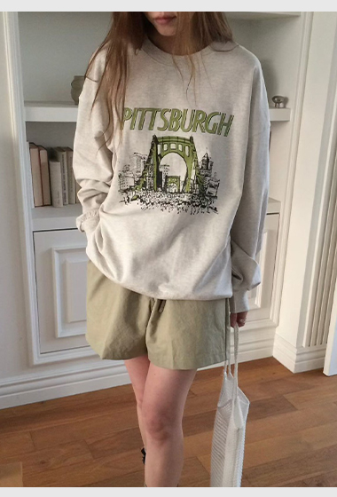 B23.匹茲堡大橋大學TEE