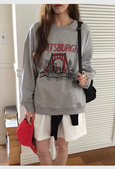 B23.匹茲堡大橋大學TEE