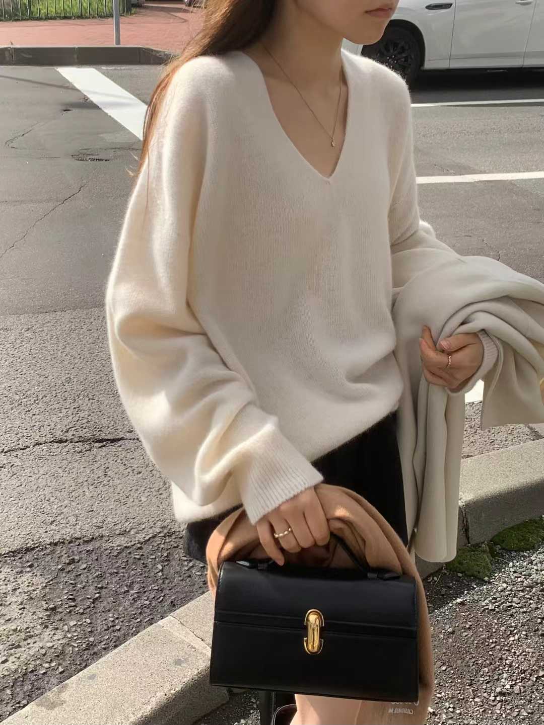 B31.顏值家狐狸浣熊V領無縫毛衣