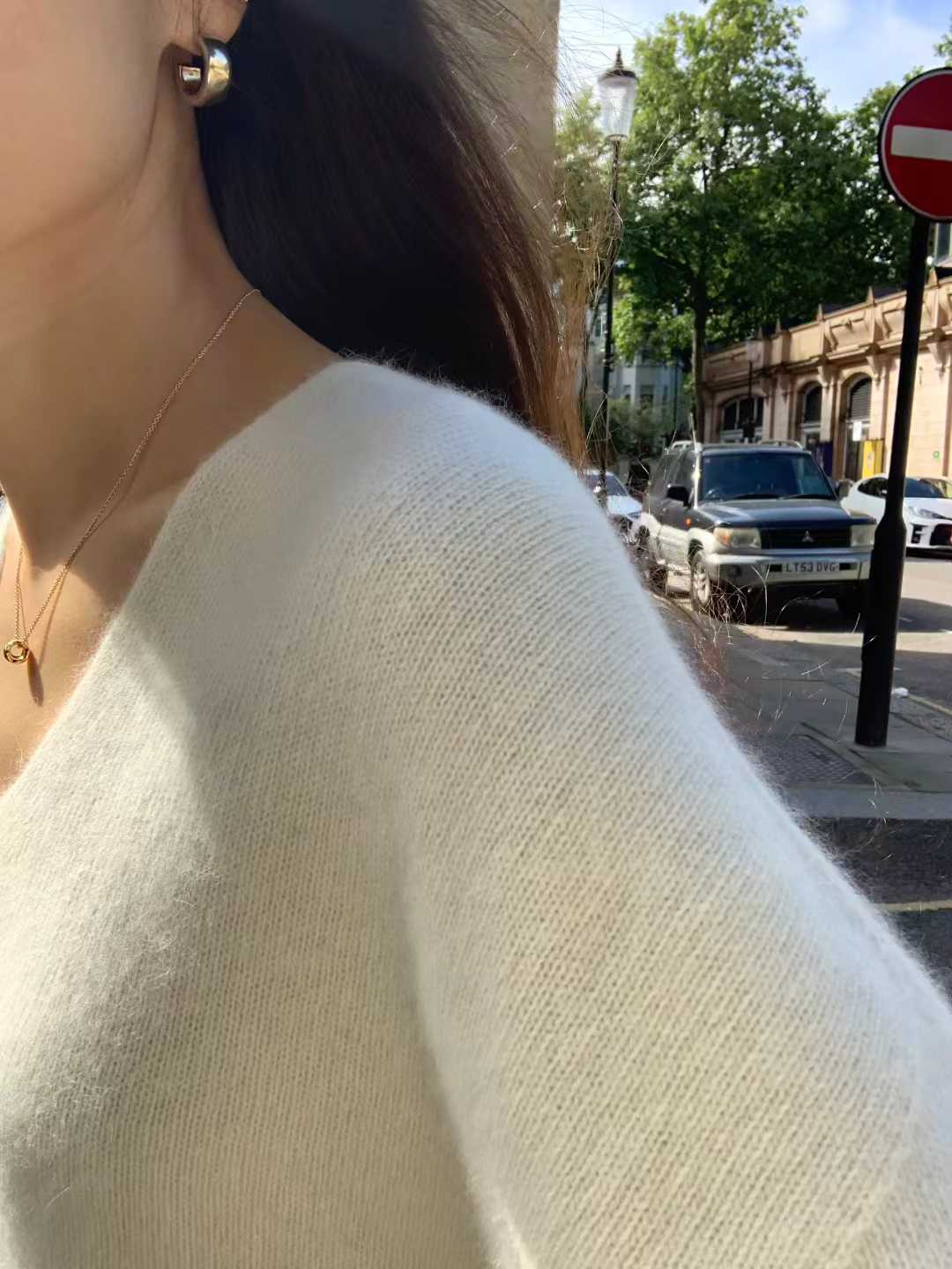 B31.顏值家狐狸浣熊V領無縫毛衣