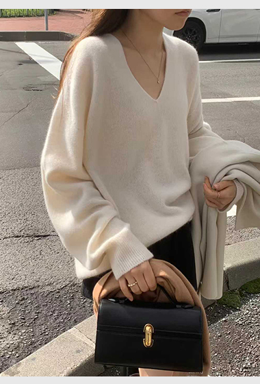 B31.顏值家狐狸浣熊V領無縫毛衣