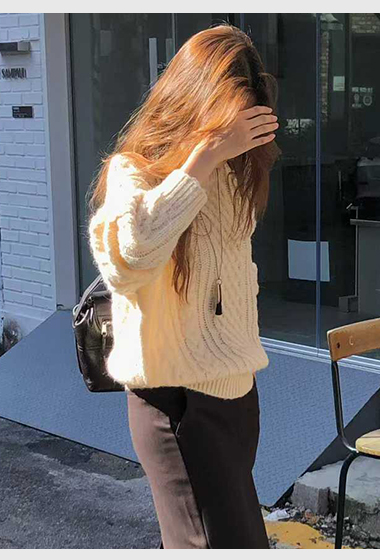 B61.大V家駝羊毛織紋圓領毛衣