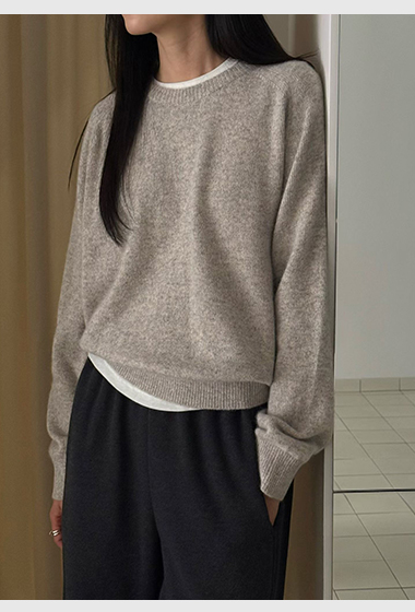 B40.瘦瘦歐膩柔軟浣熊圓領毛衣