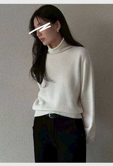 B49.瘦瘦歐膩暖暖入冬高領毛衣