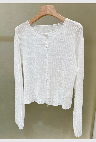 A13.小清晰壓格皺皺薄外套