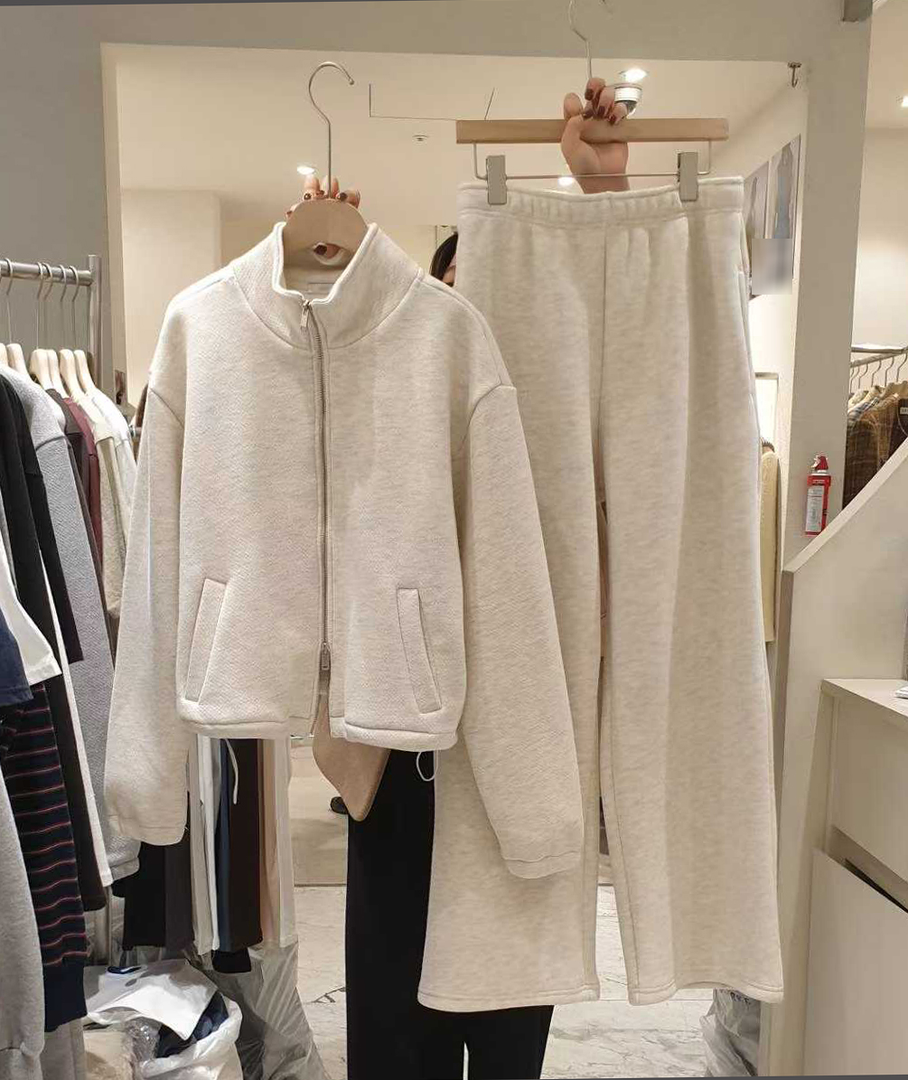 B120.小臉歐膩簡約立領拉鍊外套