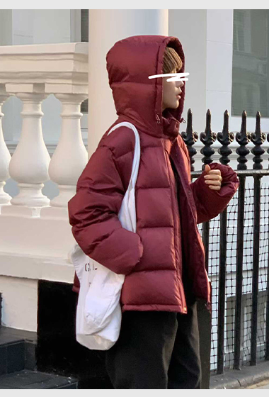 B17.小V家經典保暖連帽鴨絨外套