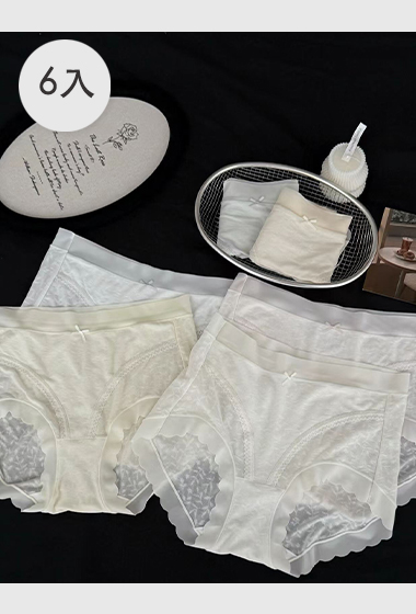 B03.緹花涼感冰肌內褲6入