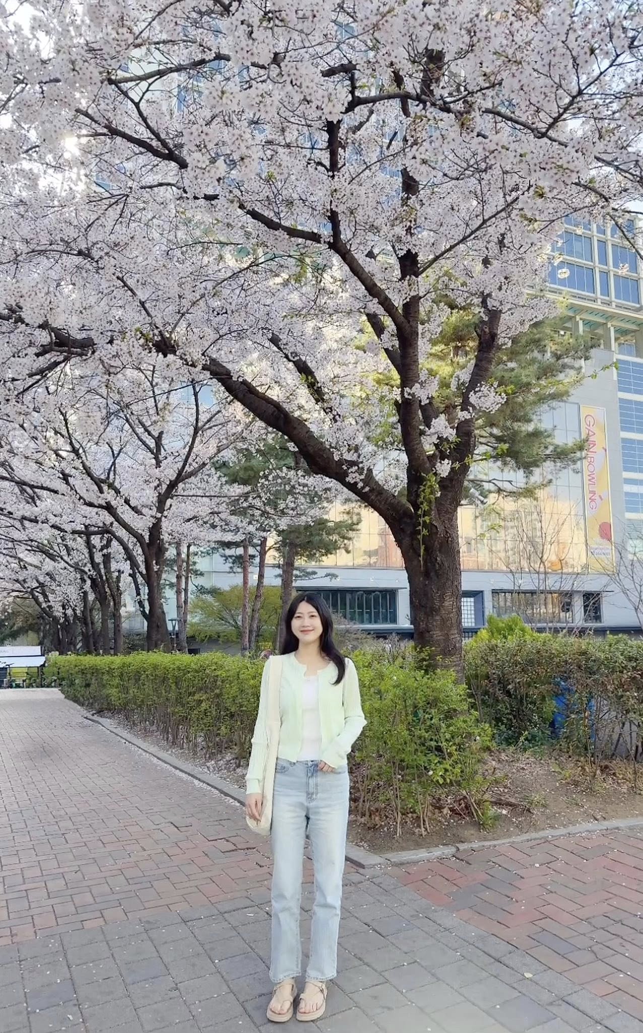 B33.綠繡線淺藍九分男友牛仔褲