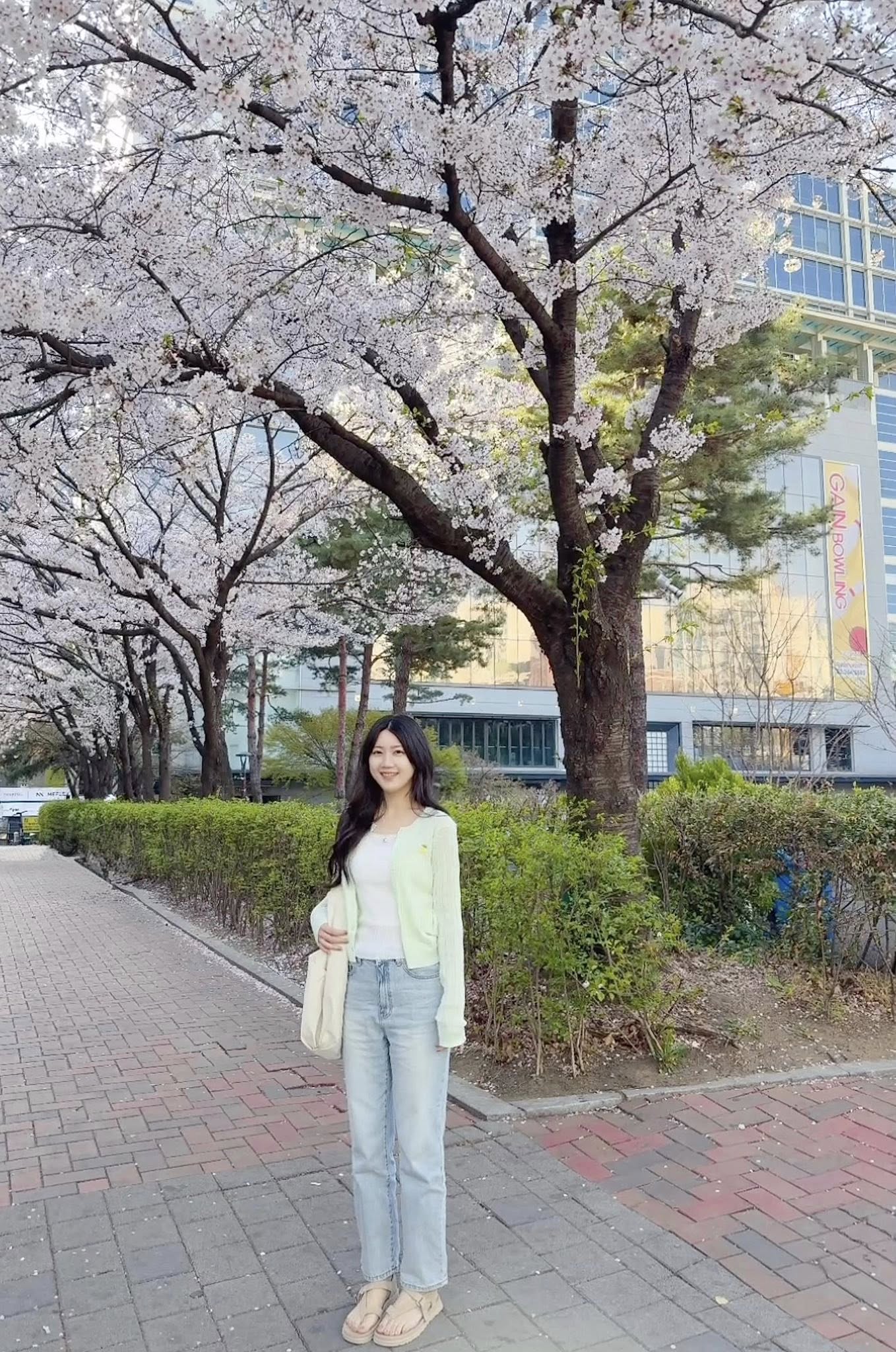 B33.綠繡線淺藍九分男友牛仔褲