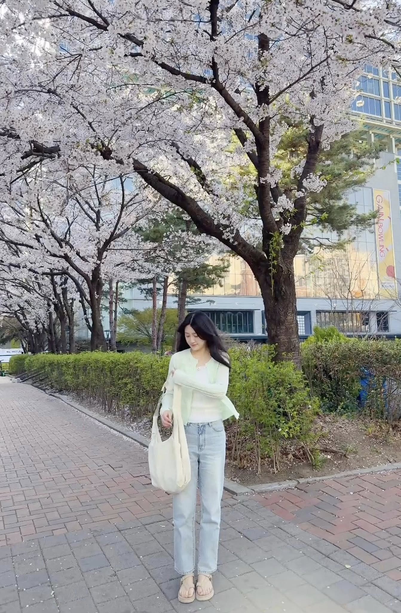 B33.綠繡線淺藍九分男友牛仔褲