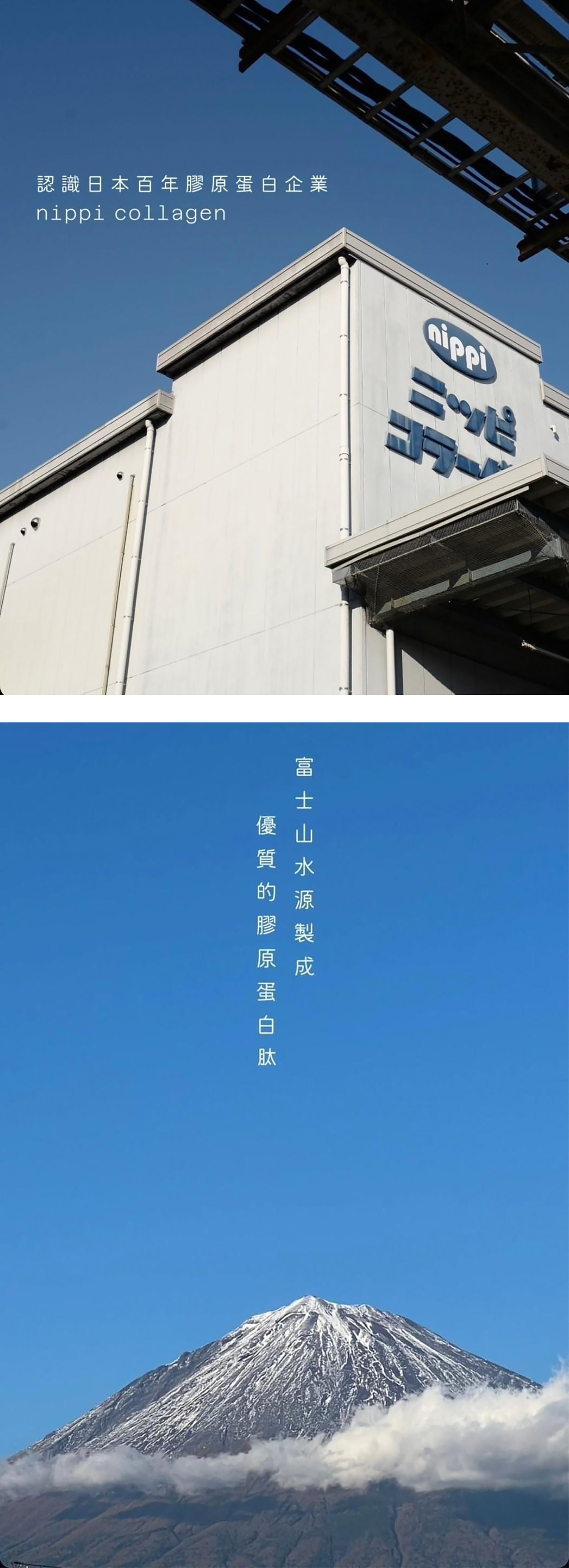 NIPPI 100%純膠原蛋白胜肽(單包)