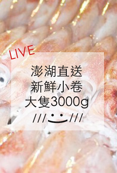 澎湖好新鮮野生鮮美小卷共3000G±10%(大隻，限冷凍宅配，無到付服務)