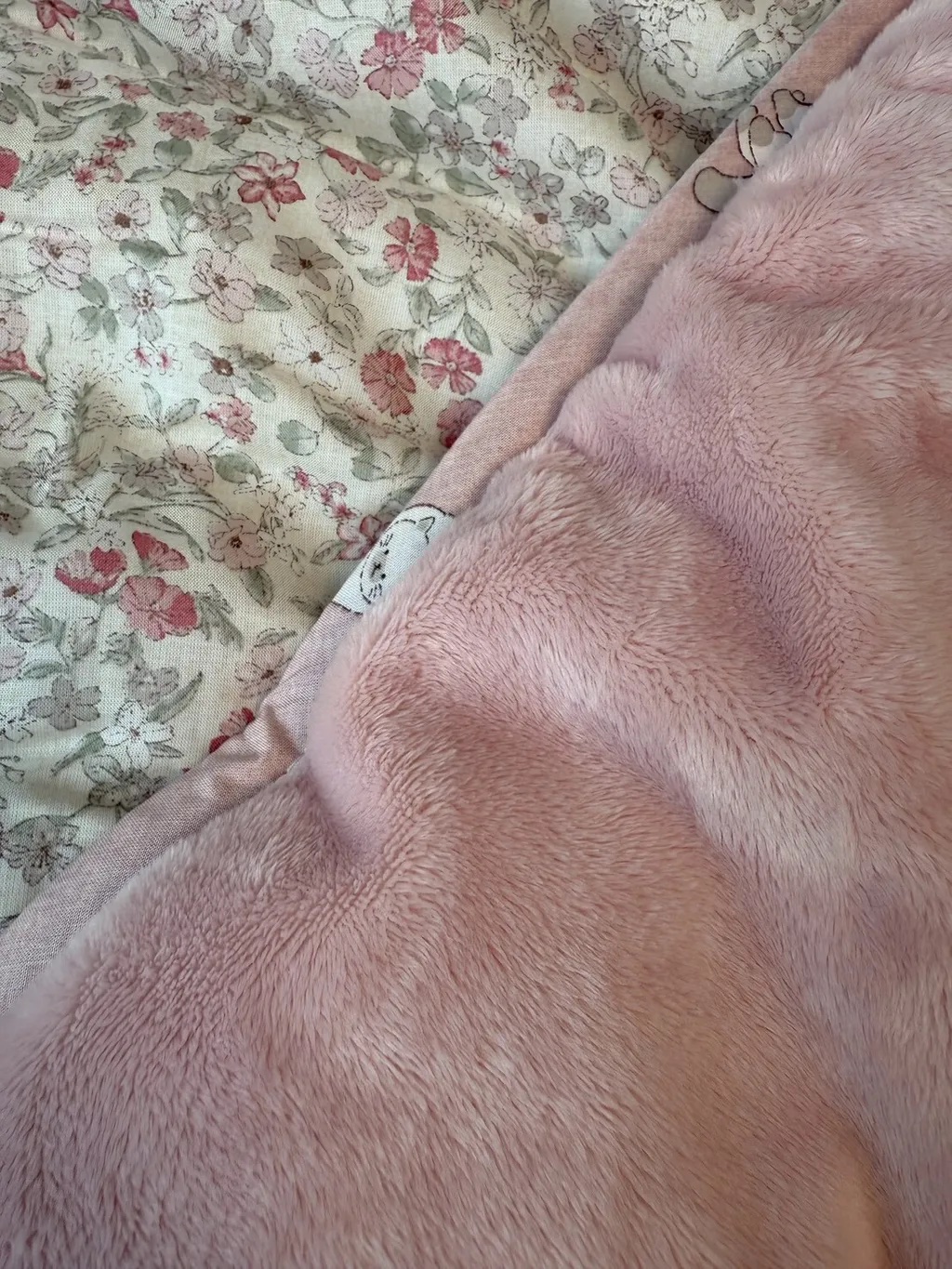 A41.貓咪花園天絲莫代爾單面絨單人被S