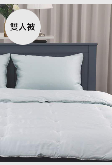 A32.花草小刺繡單面絨毛雙人被Q