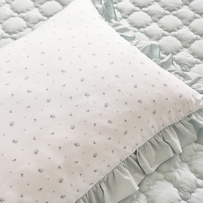 B06.Laura Ashley新清小花枕頭套(單入)